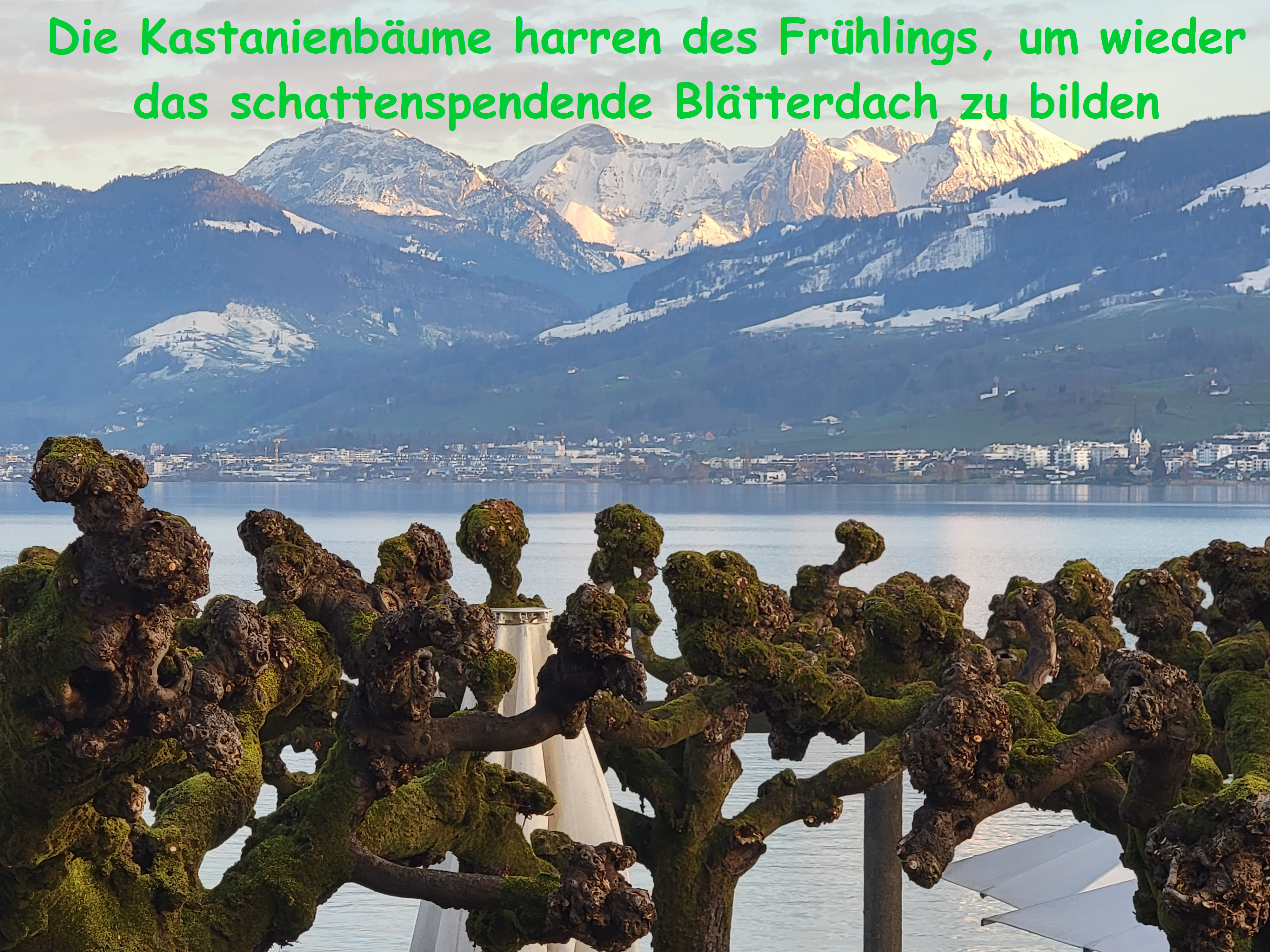 Valentins-Netztreffen 14